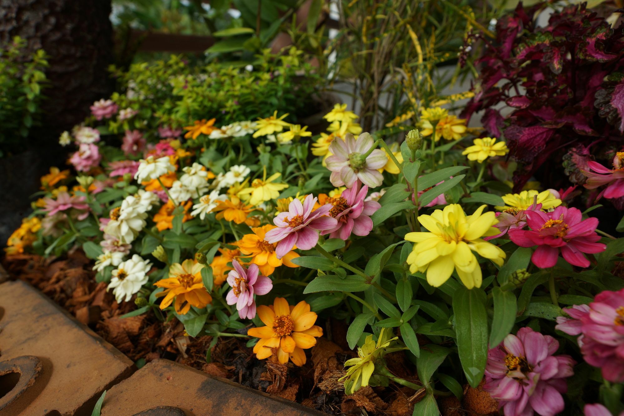 บ้านปลายฝัน Baanplaifun บ้านห้วยไผ่ ภายนอก รูปภาพ